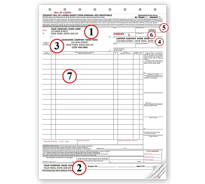 Bill Of Lading Custom 3 Ply Continuous Form Df13650 W 5296