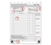 Bill of Lading -  8 1/2 x 11",  - 3 Part - Large with Carbons - DF1225-3