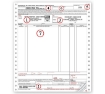 Bill of Lading -  8 1/2 x 11",  3 Part - Continuous - DF13861-3